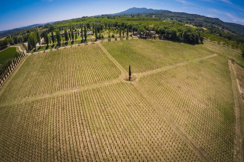 Agriturismo La Sovana Sarteano Exterior foto